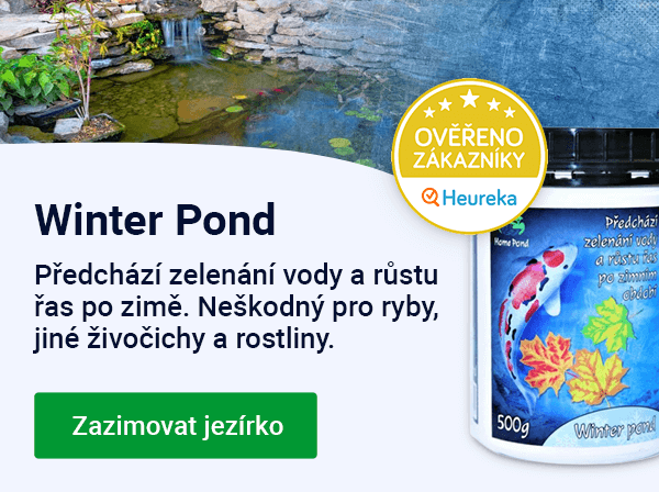 Slider — podzim Winter Pond — MOBILE