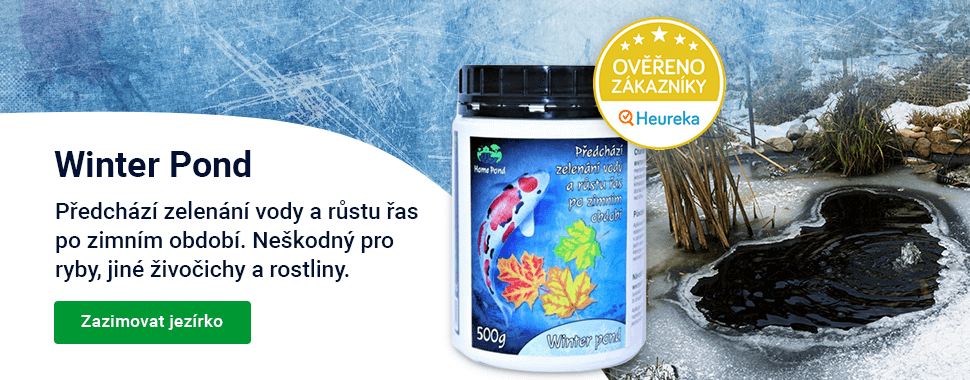 Slider — podzim Winter Pond — DESKTOP