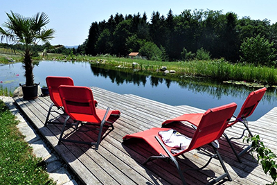 Wie Sie sich an sauberem Wasser in Ihrem Schwimmteich erfreuen können.