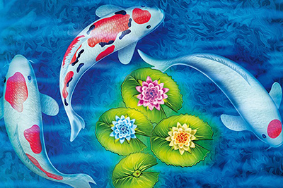 Was sind Fischprobiotika und wie wirken sie sich auf Fischkrankheiten im Teich aus?