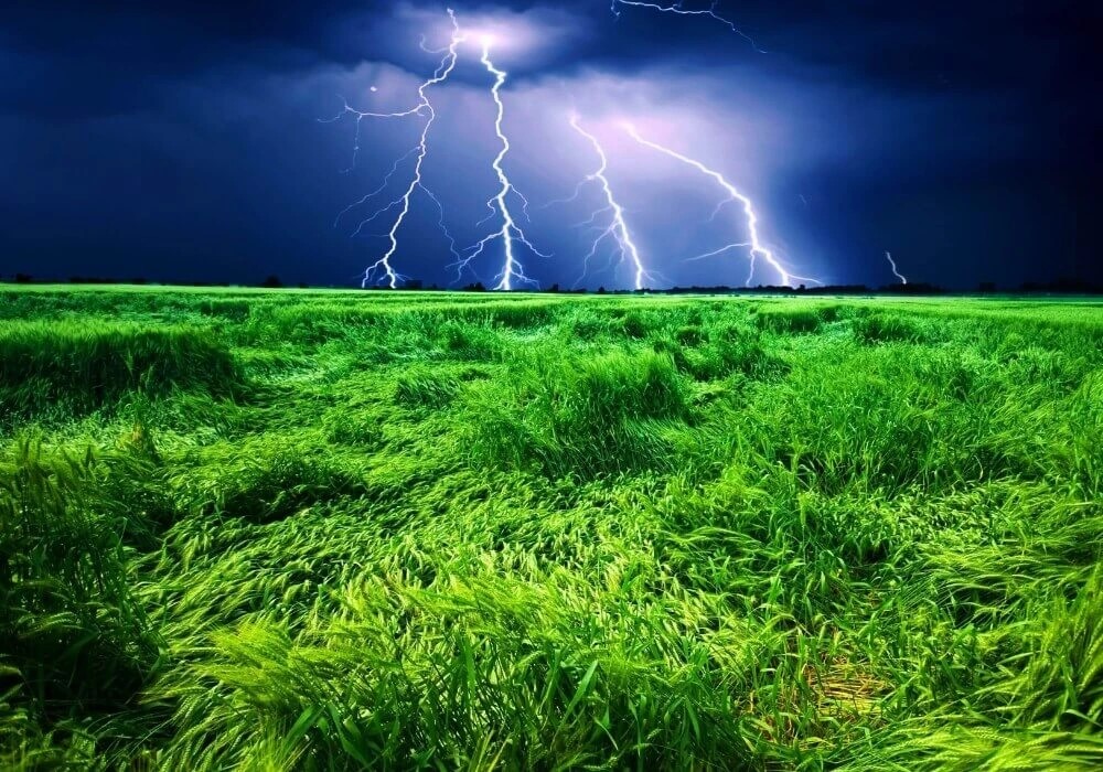 Schaum auf der Oberfläche und überhitztes Wasser: Wie schützt man einen Teich im Sommer?