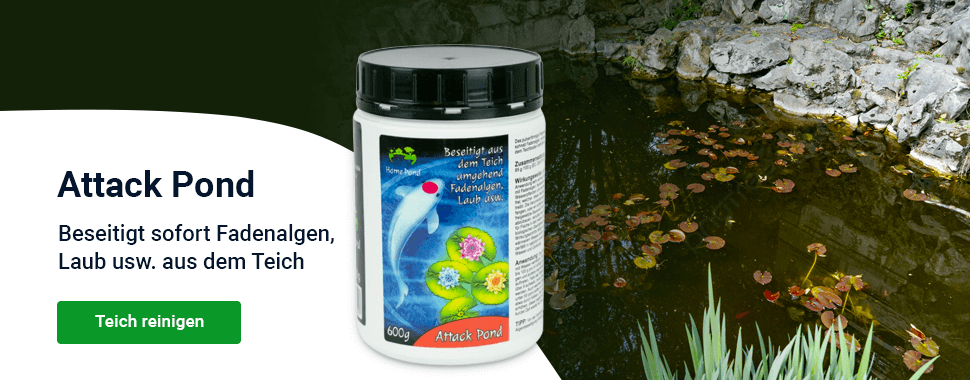 Slider — léto Attack Pond — DESKTOP