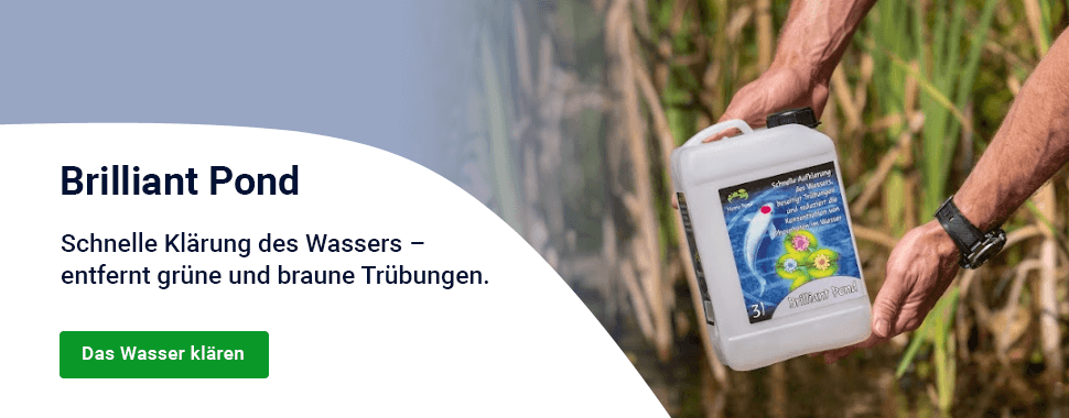 Slider — podzim Brilliant Pond — DESKTOP