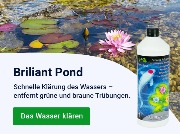 Slider — podzim Brilliant Pond — MOBILE