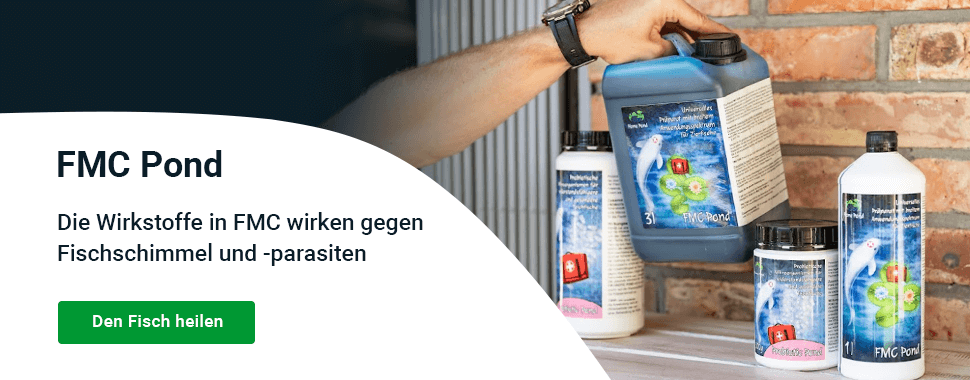 Slider — FMC — DESKTOP