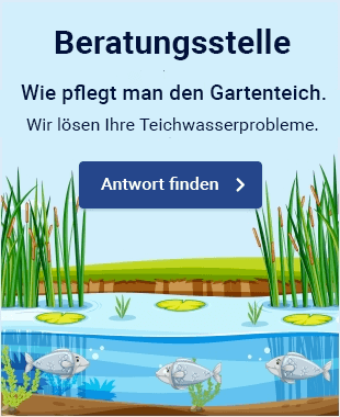 Slider - DESKTOP - Poradna