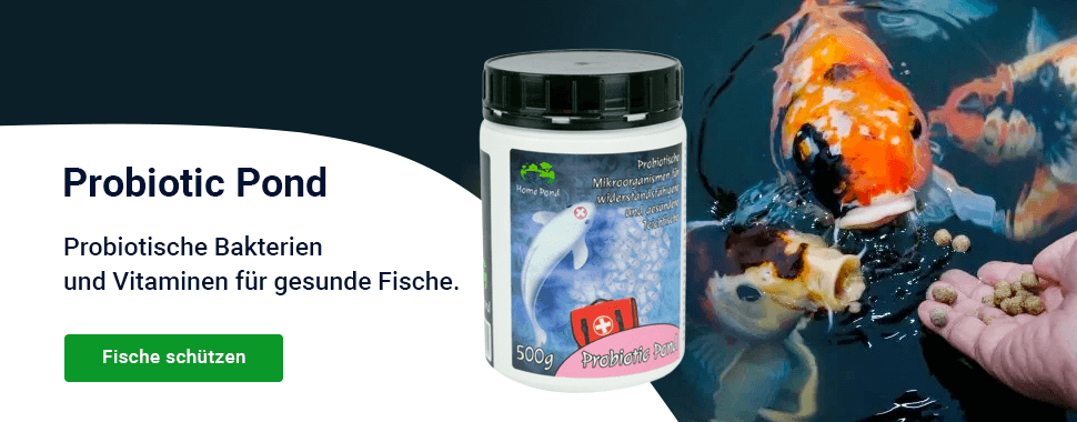 Slider — podzim Probiotic Pond — DESKTOP