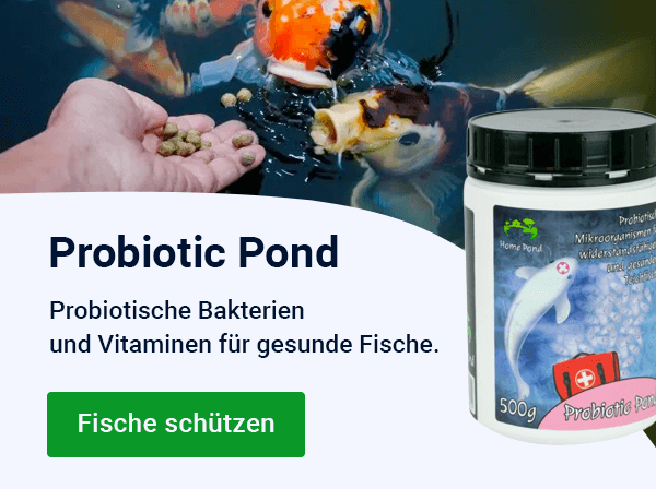 Slider — podzim Probiotic Pond — MOBILE