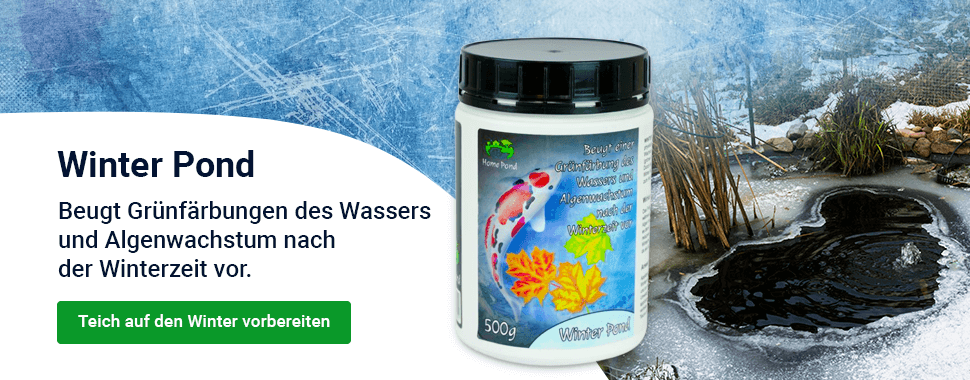 Slider — podzim Winter Pond — DESKTOP