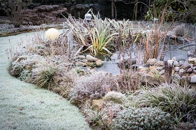 Téli baktériumok a tóba – van értelme alkalmazni őket?