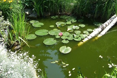 Tavasz, az a kezdet, amely meghatározza az egész szezon alakulását.