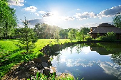 Miért a nyár a legjobb időszak az algák számára a tóban, és hogyan csökkenthetjük az algák előfordulását?