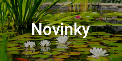 Home Pond újdonságok 2021