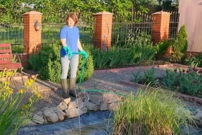 Hogyan alakítsunk ki kerti tavat?