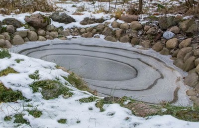 Hogyan téliesítse helyesen a kerti tavat, és mire valók a téli baktériumok?