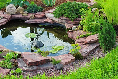 Vízszivárgás egy tóból? Sérült tófólia?