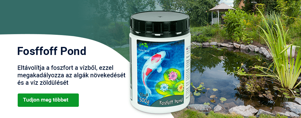 Slider — jaro —  Fosfoff Pond — DESKTOP