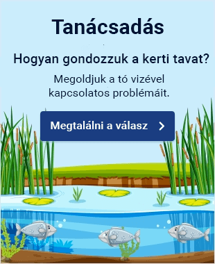 Slider - DESKTOP - Poradna