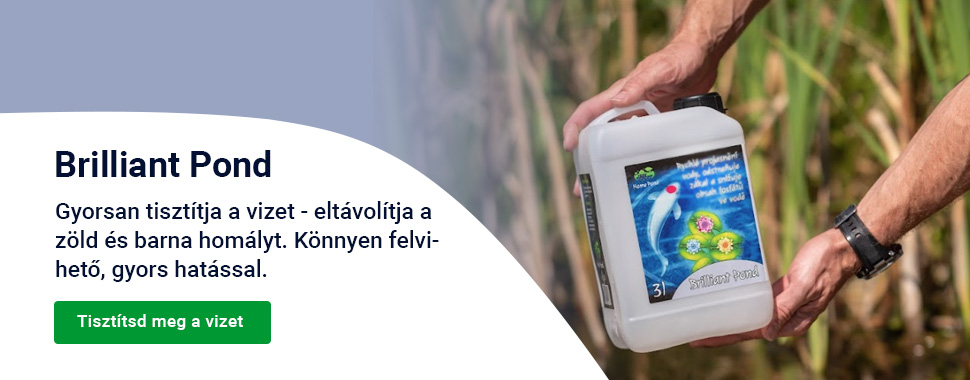 Slider - zima Briliant Pond -  DESKTOP