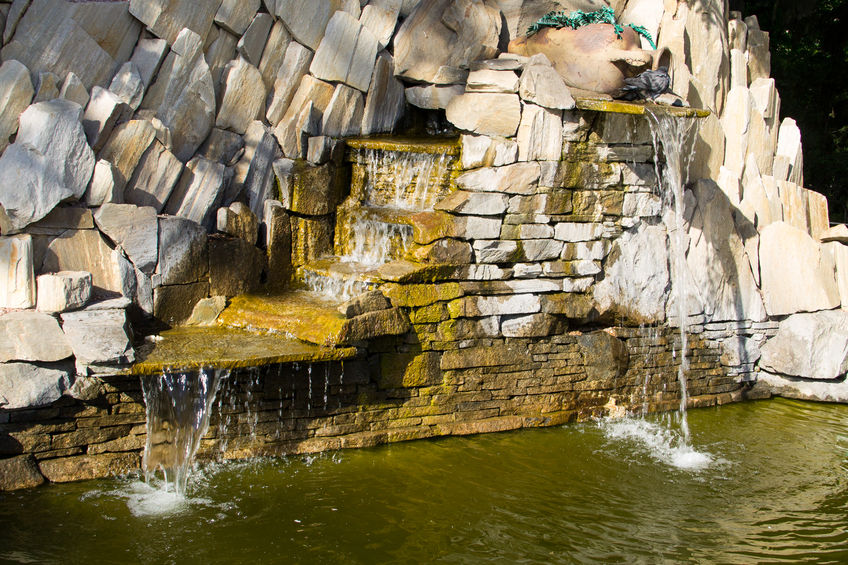 🏖️ 3 tipy ako zabezpečiť záhradné jazierko pred odchodom na letnú dovolenku?