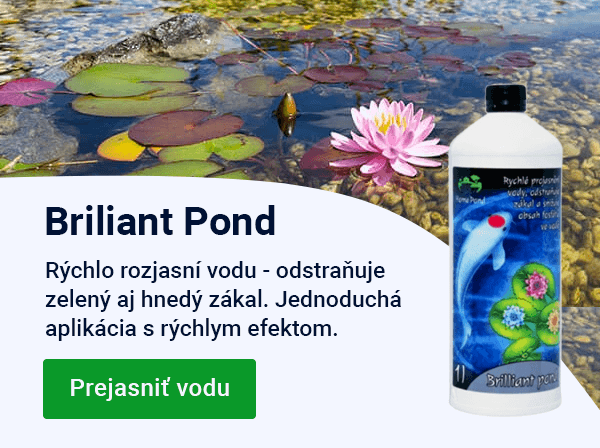 Slider — podzim Brilliant Pond — MOBILE