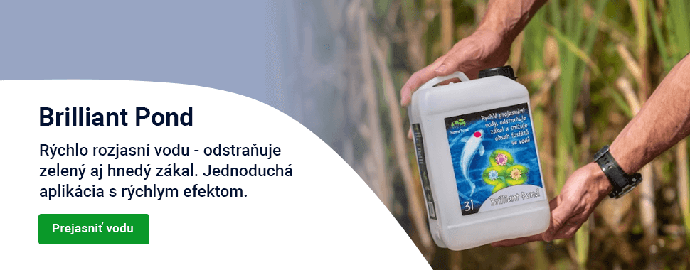 Slider — podzim Brilliant Pond — DESKTOP