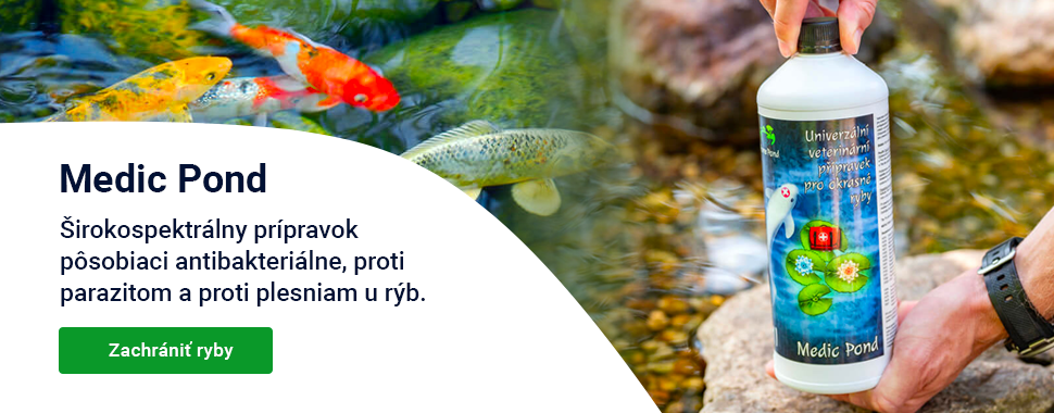 Slider — jaro Medic Pond —  DESKTOP