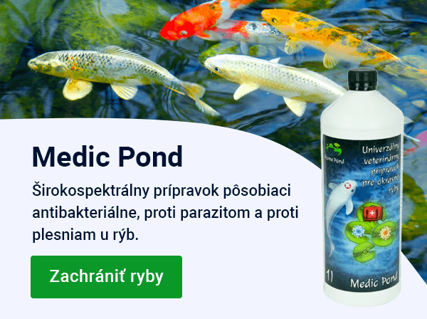 Slider — jaro Medic Pond — MOBILE