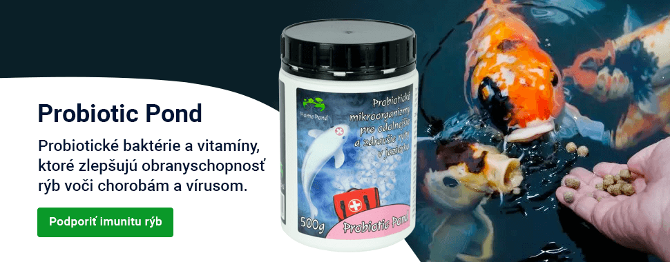 Slider — podzim Probiotic Pond — DESKTOP