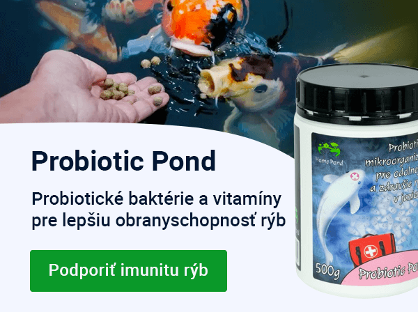 Slider — léto Probiotic Pond — MOBILE