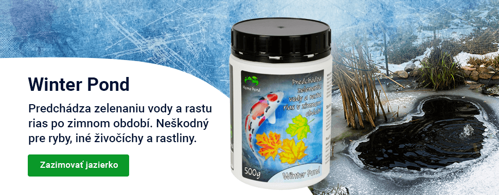 Slider — podzim Winter Pond — DESKTOP