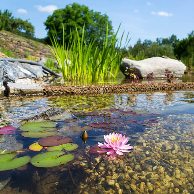 Fosfoff Pond