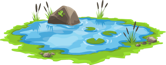 Home Pond