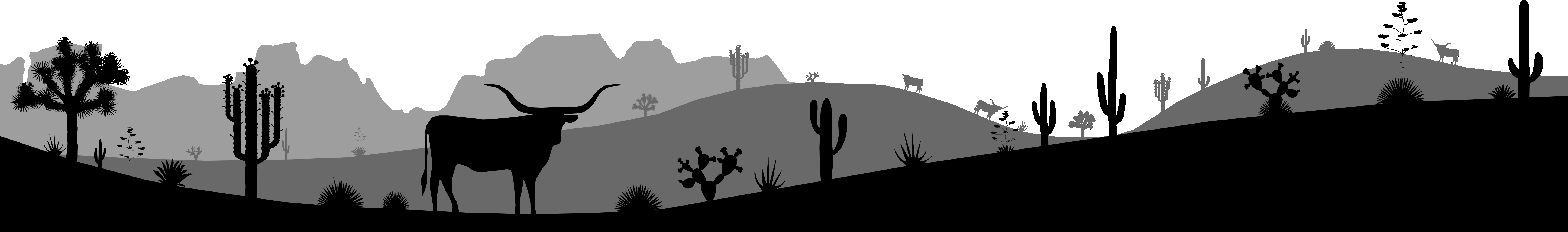 Scenery2