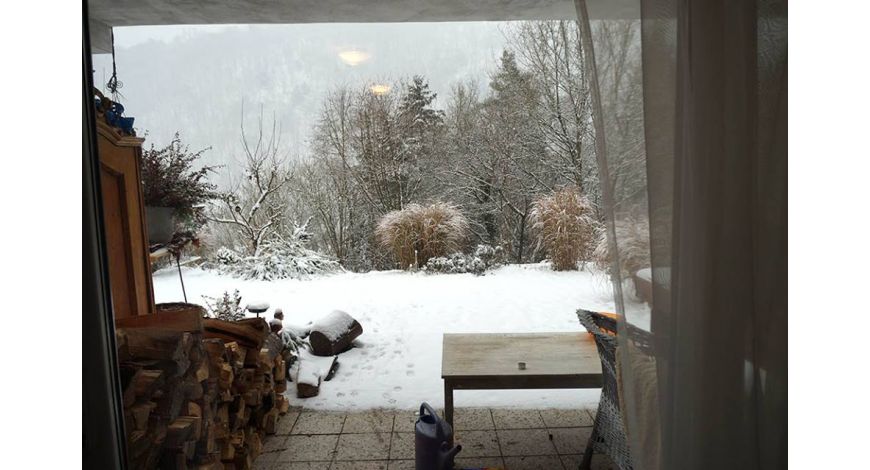 Tři adventní víkendy u Zuzany Honsové