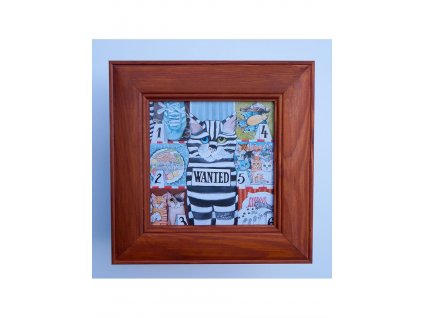 Kocour průšvihář 23 x 23 cm