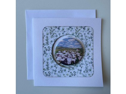 PHOTO 2026 03 02 11 13 41 3