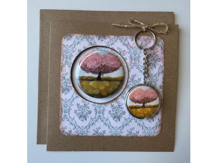 PHOTO 2026 03 02 11 13 43 4