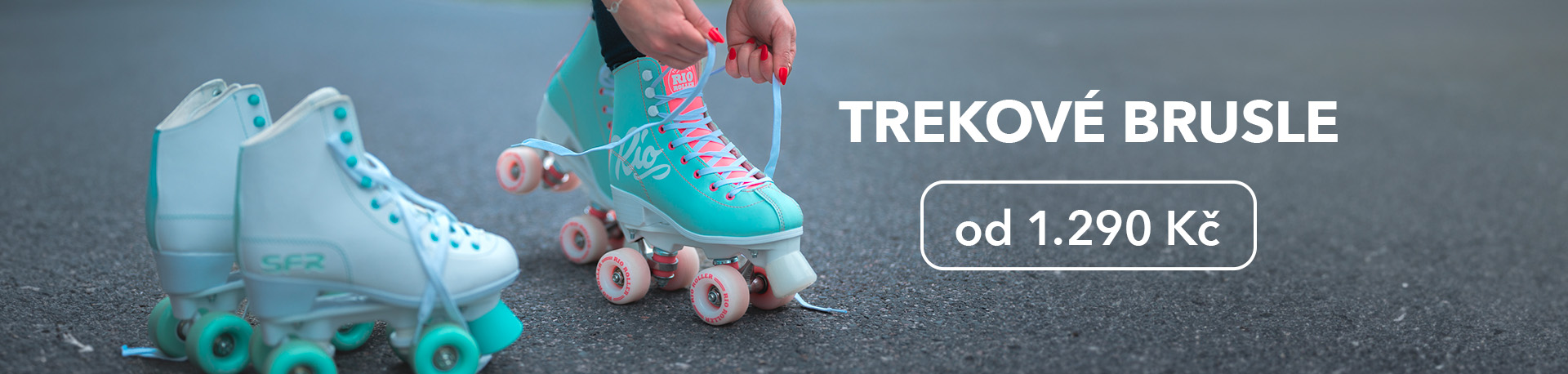 brusle veronika 1 desktop