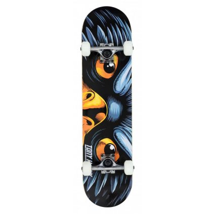 Tony Hawk - SS 180 EyeoftheHawk