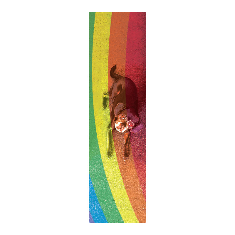Levně Paradox Griptape Paradox - Love - Griptape