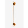 Globe - Geminon 40" Walnut/Monstera - longboard tvar desky