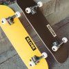 Globe - Goodstock - Black 8.125" - skateboard