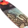 Globe - Pintail 44" Climate Change - longboard