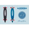 Hammond Longboards - Pintail 43" longboard