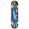 Tony Hawk - SS 180 WingspanPurple