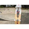 Mindless - Flash Snake Gen-X 32,5" Natural/White - longboard