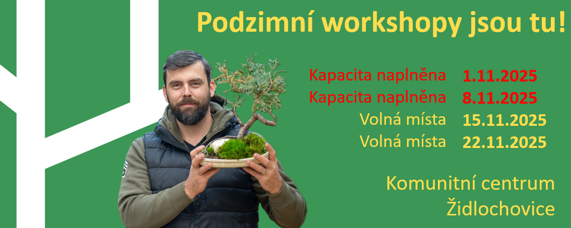 Bonsajové workshopy s tématem podzimní tvarování