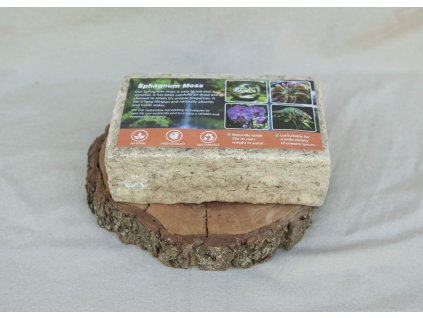 Rašeliník Sphagnum moss z Číny 1000g