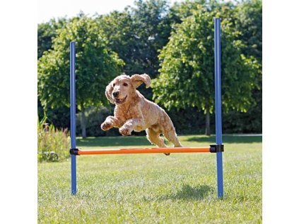 238674 agility prekazka 3 tyce 129x115cm